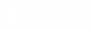 TDF-Logo in weiß